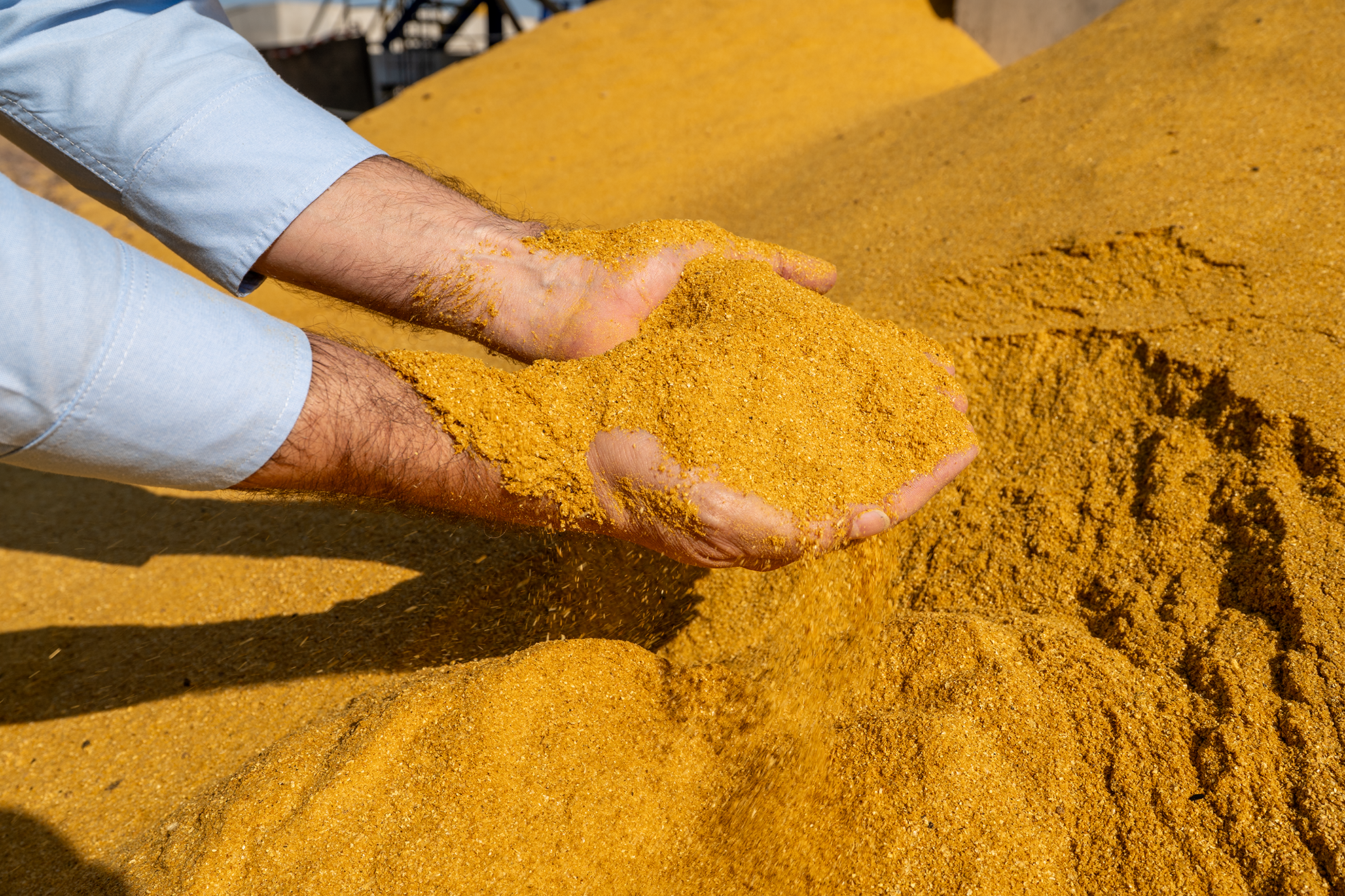 DDGS (Burlanda seca) de alta proteína